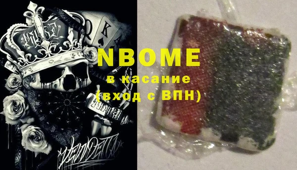 прущие грибы Вязники
