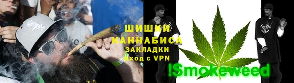 прущие грибы Вязники