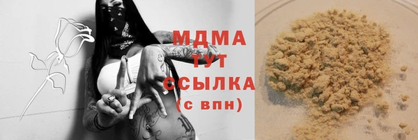 прущие грибы Вязники