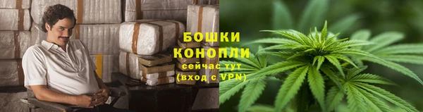 марки nbome Вяземский