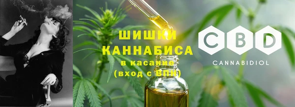 прущие грибы Вязники