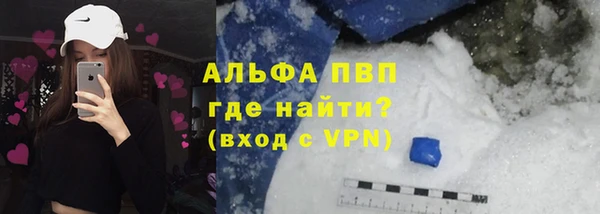 прущие грибы Вязники