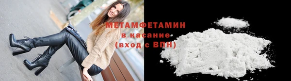 прущие грибы Вязники