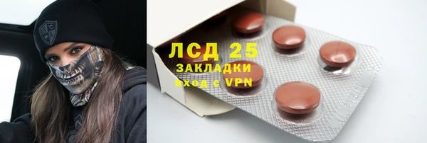 прущие грибы Вязники