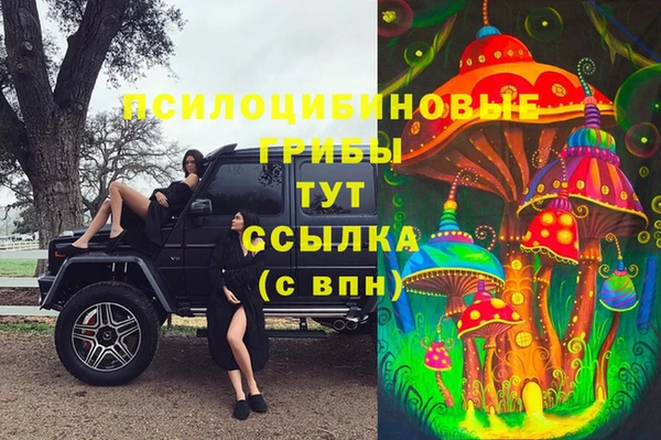 прущие грибы Вязники