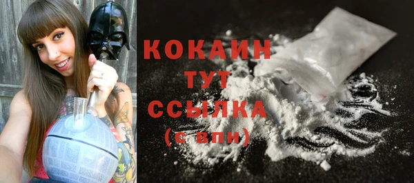 прущие грибы Вязники