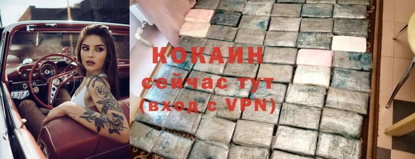прущие грибы Вязники