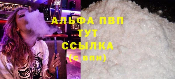 прущие грибы Вязники