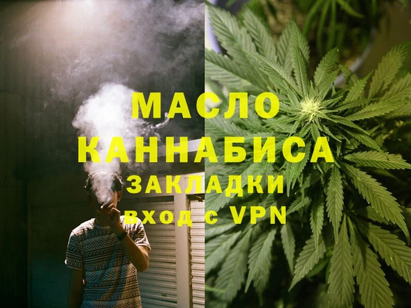 прущие грибы Вязники